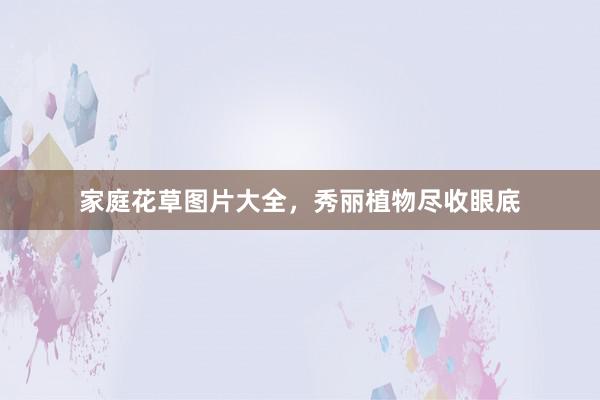 家庭花草图片大全,秀丽植物尽收眼底